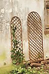 Rounded Top Willow Trellis, Small #1