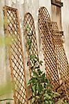 Rounded Top Willow Trellis, Small #2