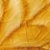 OCHRE