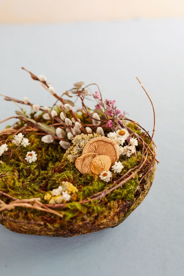 Right Side Hand Foraged Nest #1