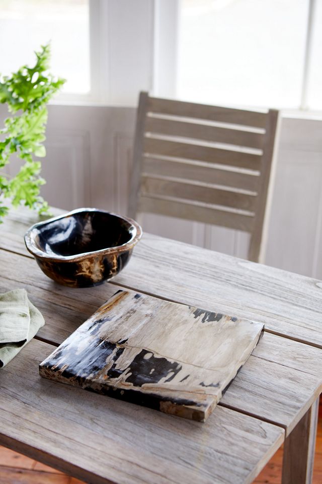 Petrified Wood Cheeseboard #1