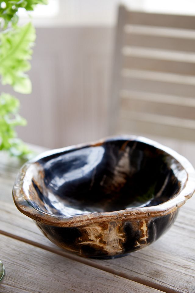 Petrified Wood Bowl, Large #1