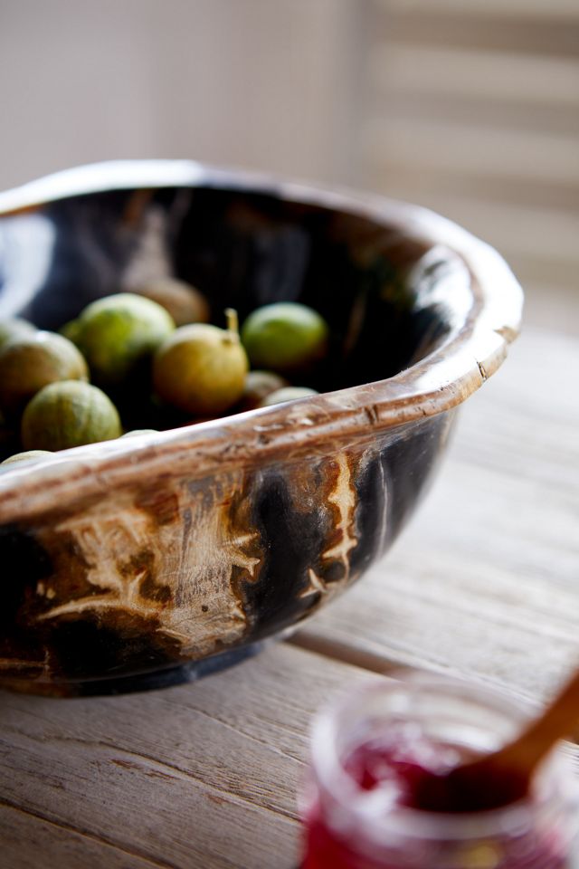 Petrified Wood Bowl, Large #2