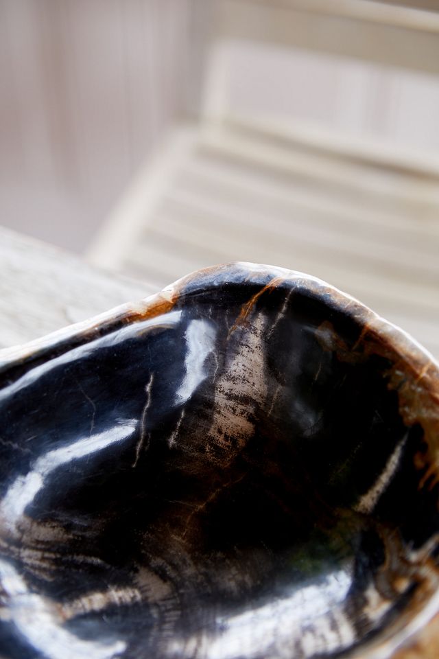 Petrified Wood Bowl, Large #3