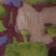 Purple Pattern