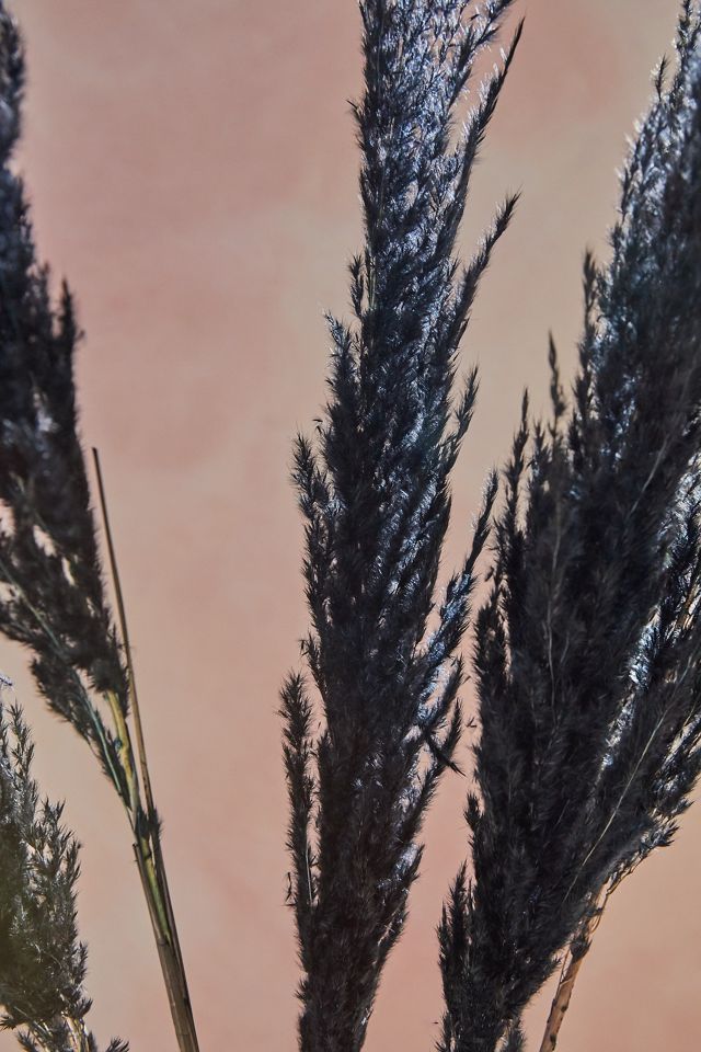 Artificial black pampas grass, 32'' - Décors Véronneau