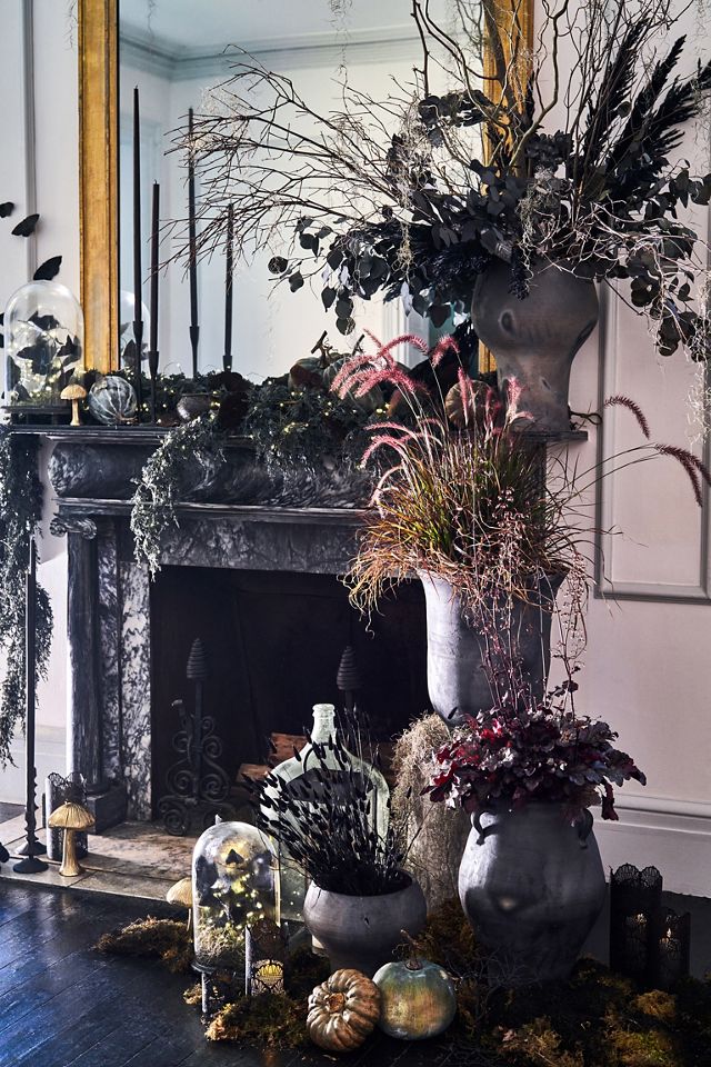 Preserved Pampas Grass, Black #3