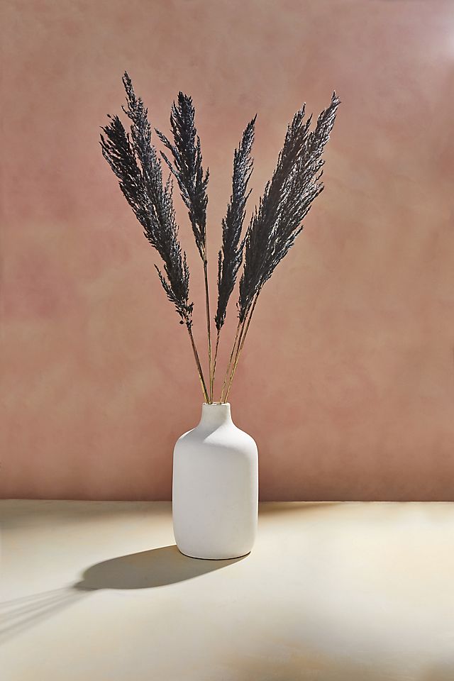 Preserved Pampas Grass, Black by Terrain at Anthropologie