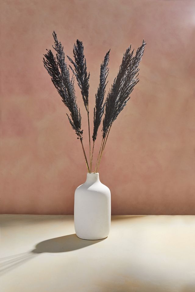 Black Pampas Grass In Vase