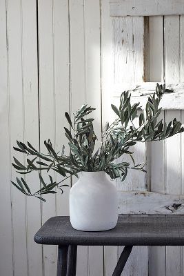 Terrain Preserved Olive Branch Bunch In White