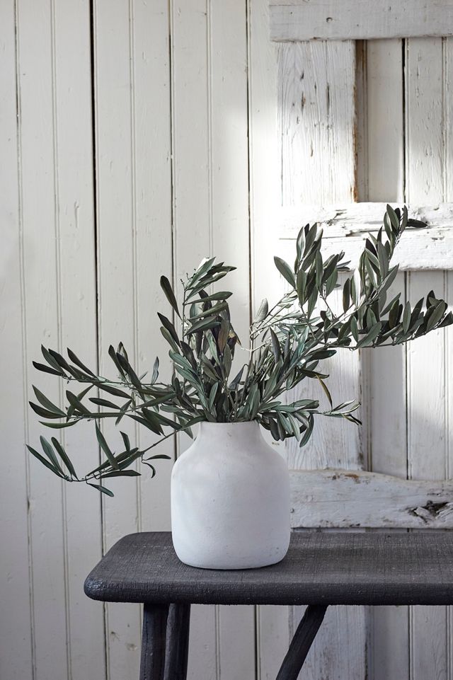 Preserved Olive Branch Bunch