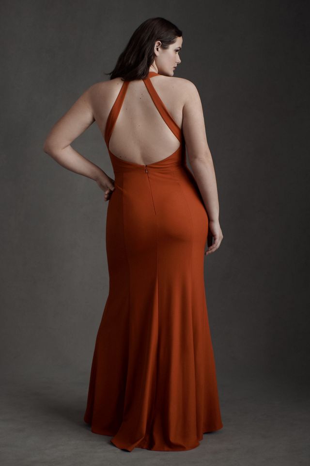 BHLDN Serephina Crepe Maxi Dress #3