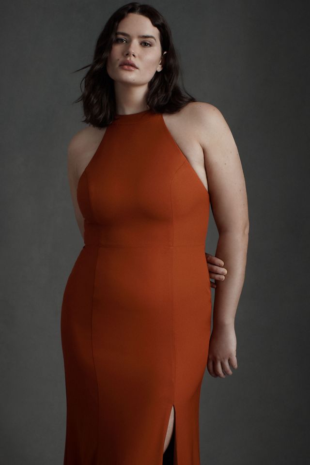 BHLDN Serephina Crepe Maxi Dress #6