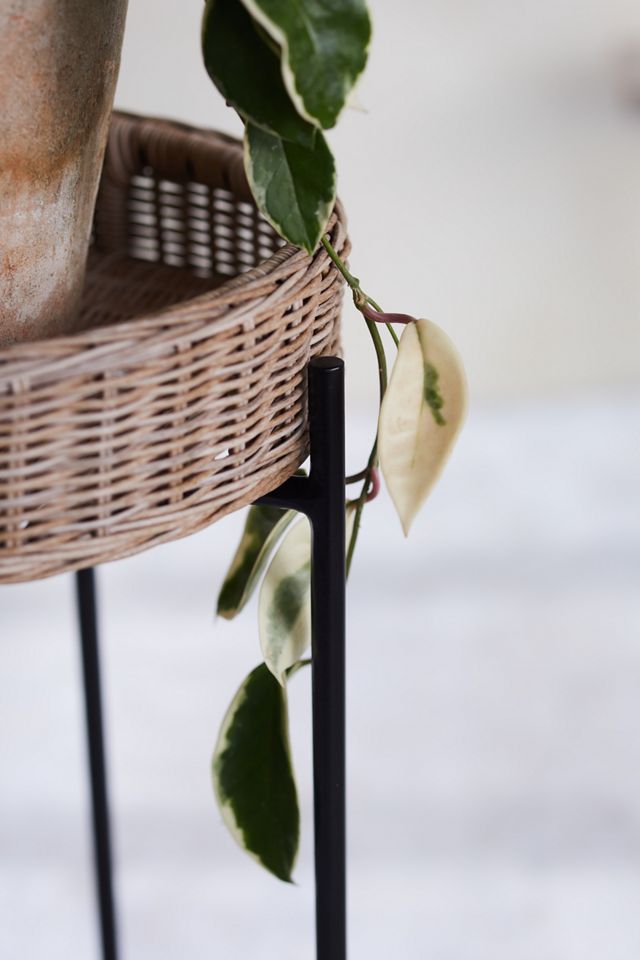 hanging plant rope Hanging Planter