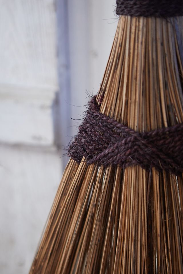 Garden Bristle Broom Terrain