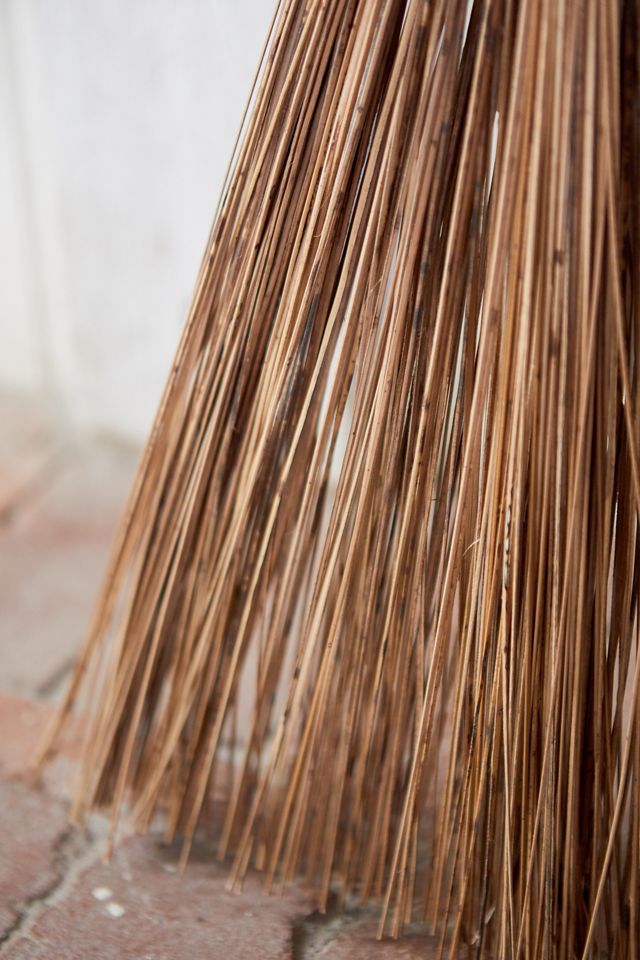 Garden Bristle Broom Terrain