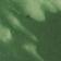 Green Pattern