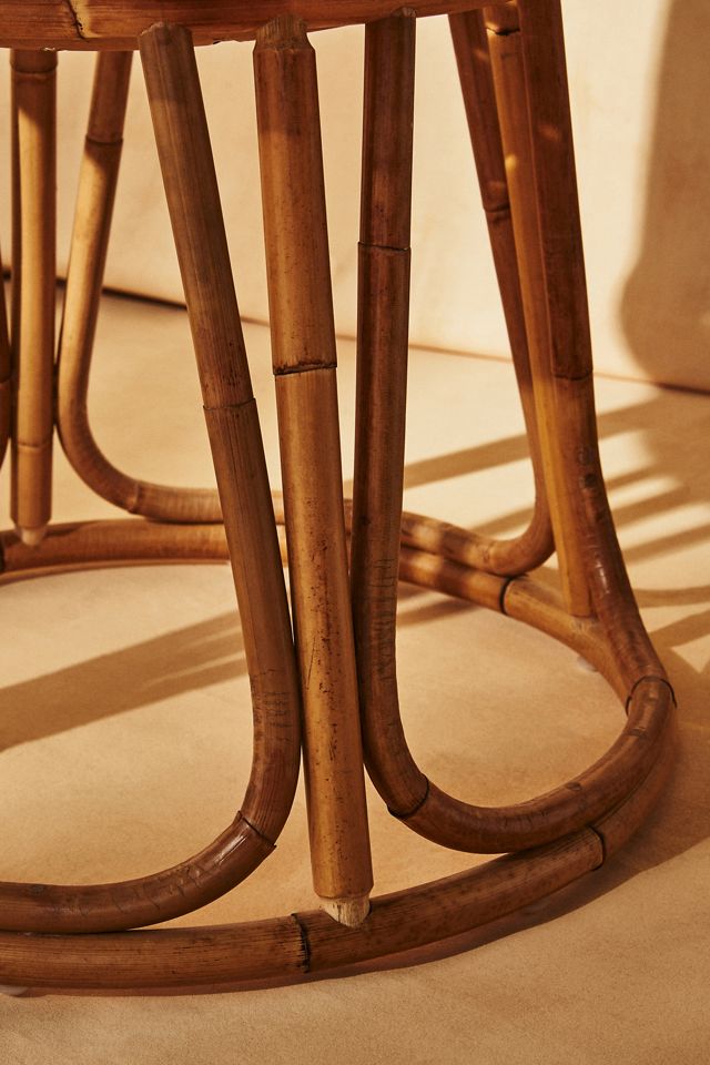 Tulip Indoor/Outdoor Chair #6