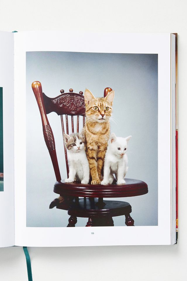 Cats. Photographs 1942-2018 #1