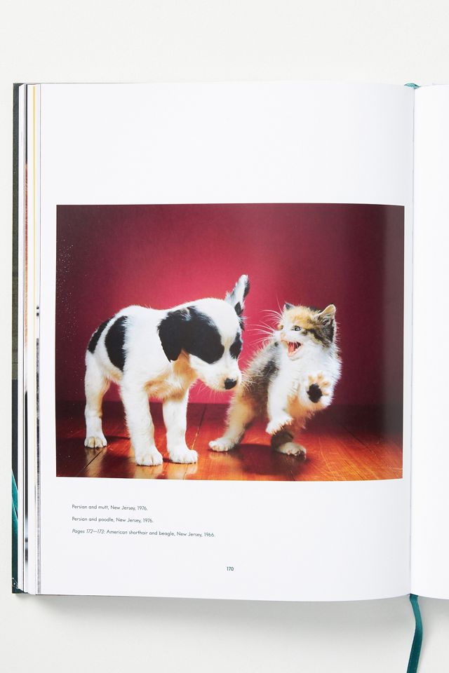 Cats. Photographs 1942-2018 #2