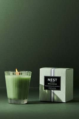 Nest Fragrances Classic Boxed Candle