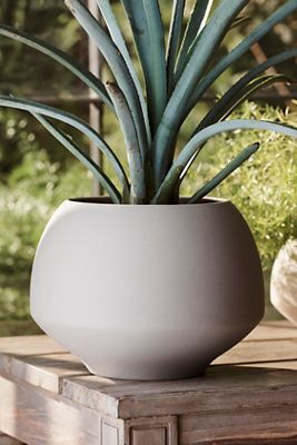 Ceramic Milo Planter, 6"
