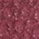 Sea Salt/Monarch/Burgundy