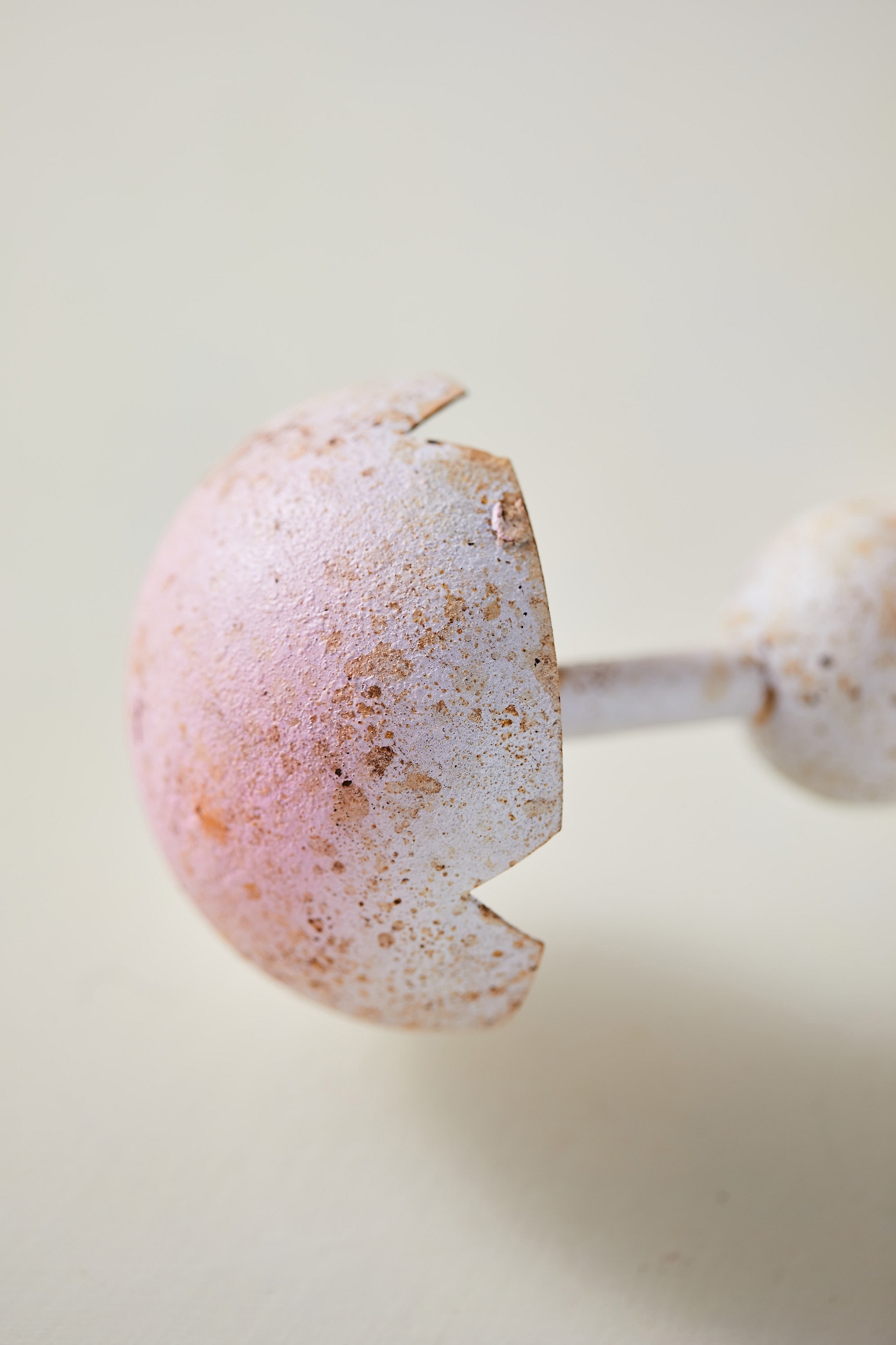 Pink Multi Mushroom Iron Stake