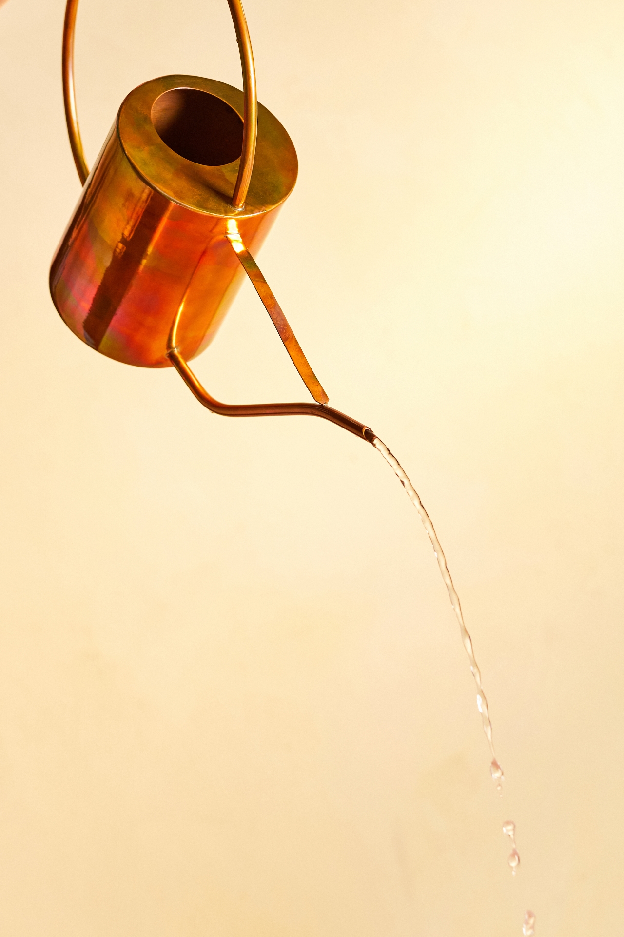 Copper Watering Can