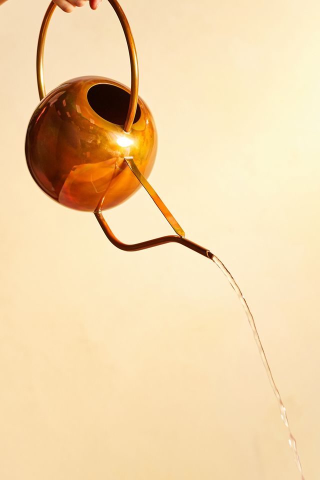 Copper Watering Can, Round #1