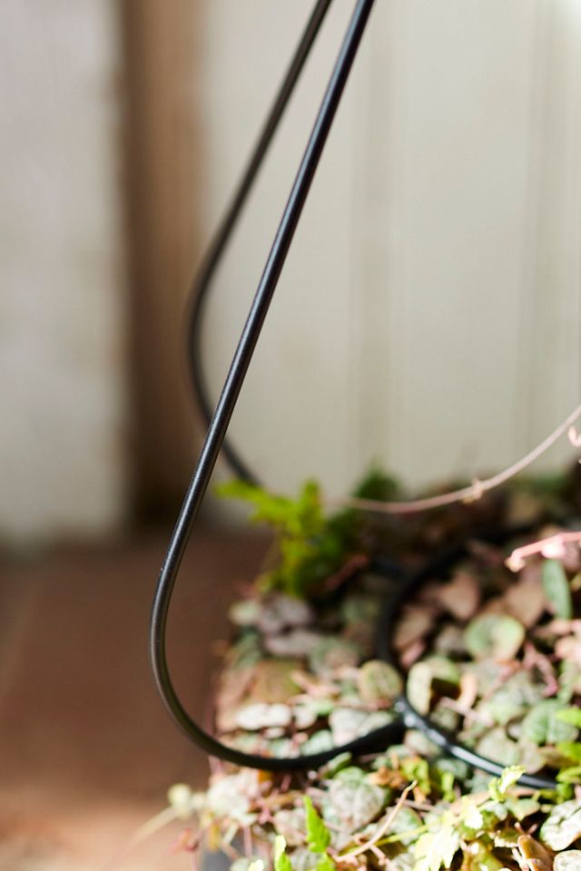 Iron Topiary Frame, Teardrop #3