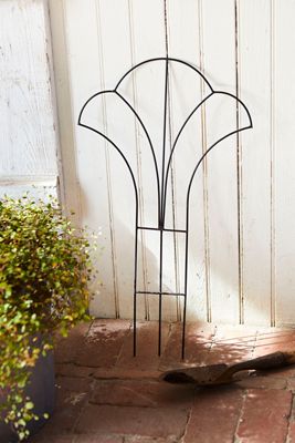Iron Topiary Frame, Trellis