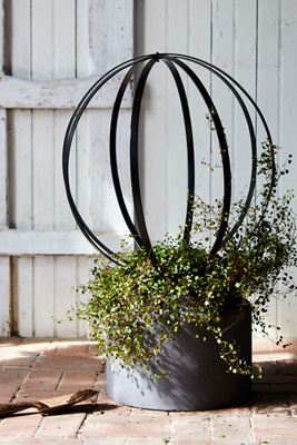 Sphere Topiary Frame | Terrain