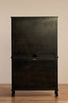 Amber Lewis for Anthropologie Bar Cabinet