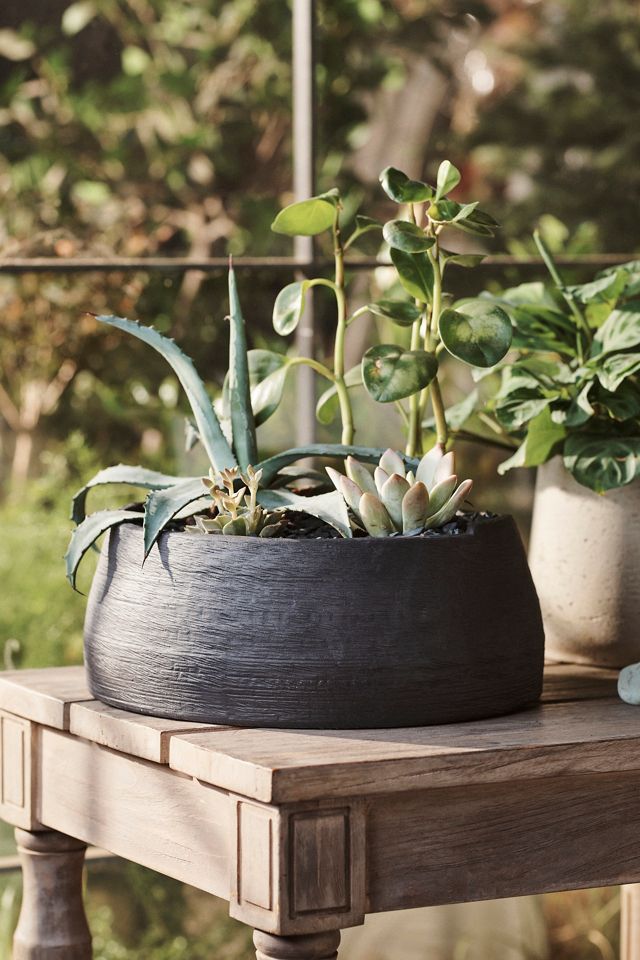 Notched Ceramic Low Bowl Planter #1