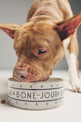 The Bistro Tile Large Stoneware Dog & Cat Bowl | AnthroHome