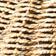 NEUTRAL