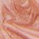 Tulip Pink