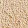 MUSTARD SEED