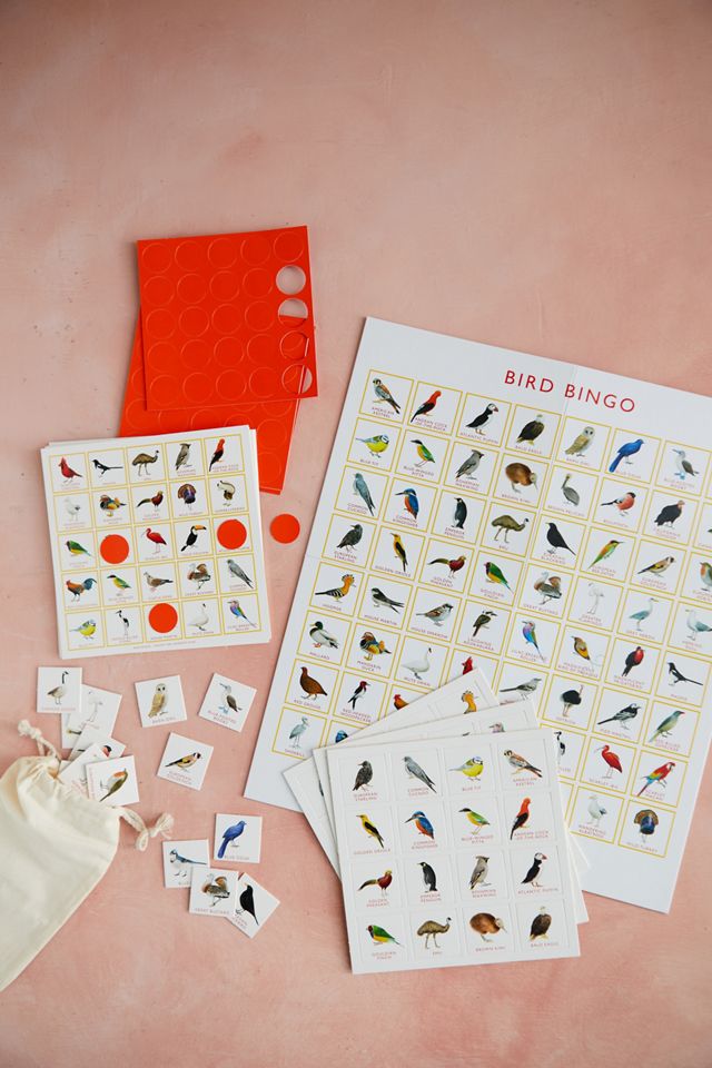Bird Bingo #1