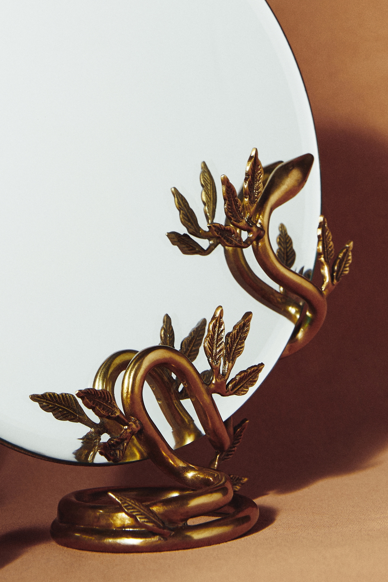 Serpentine Vanity Mirror