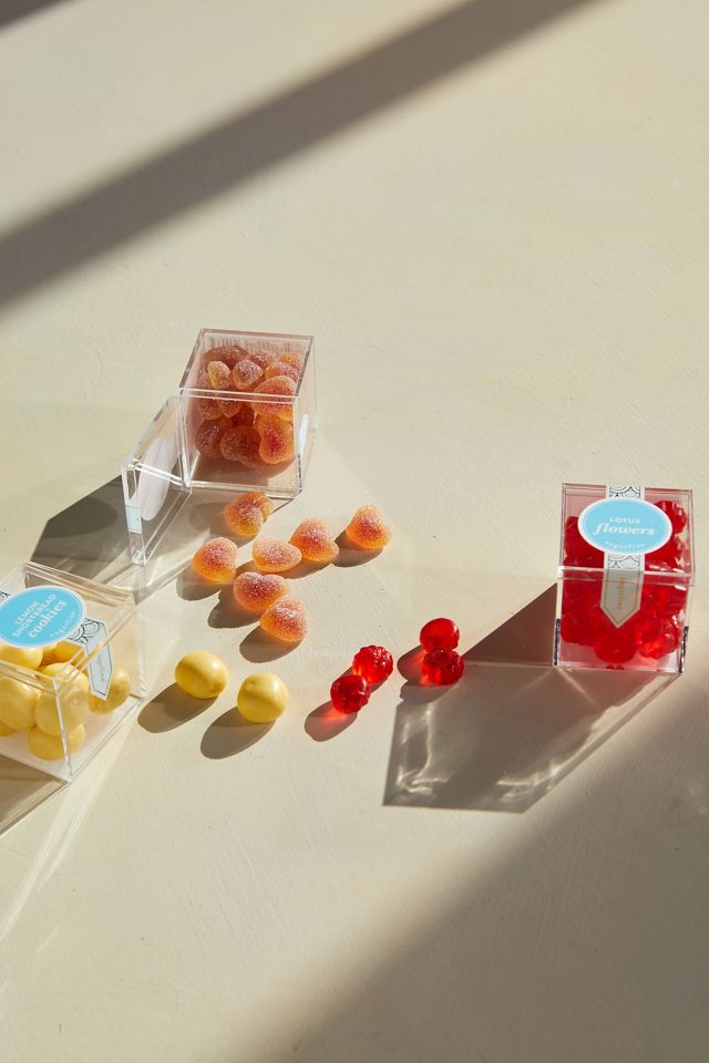 Spring Candy Tasting Box | Terrain