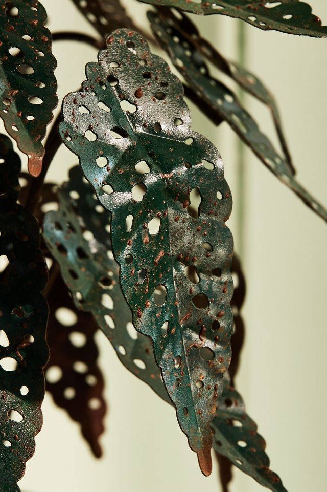 Potted Iron Houseplant #1