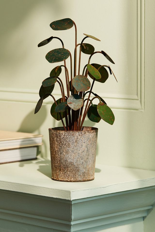 Potted Iron Houseplant #2