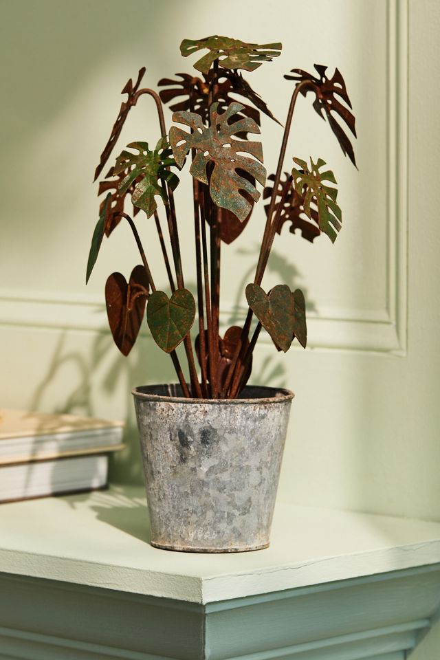 Potted Iron Houseplant #4
