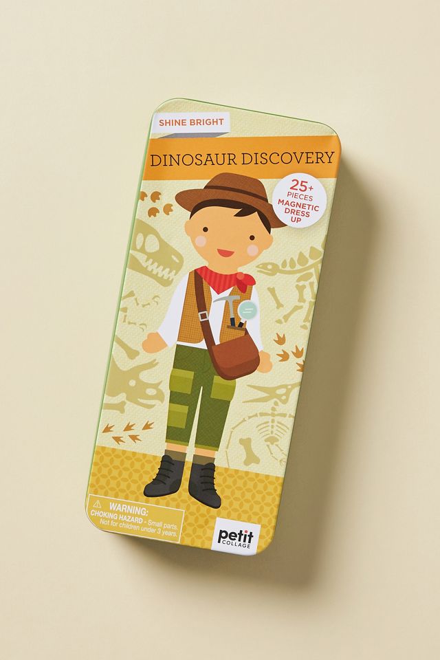 Dinosaur Discovery Magnetic Toy Set #1