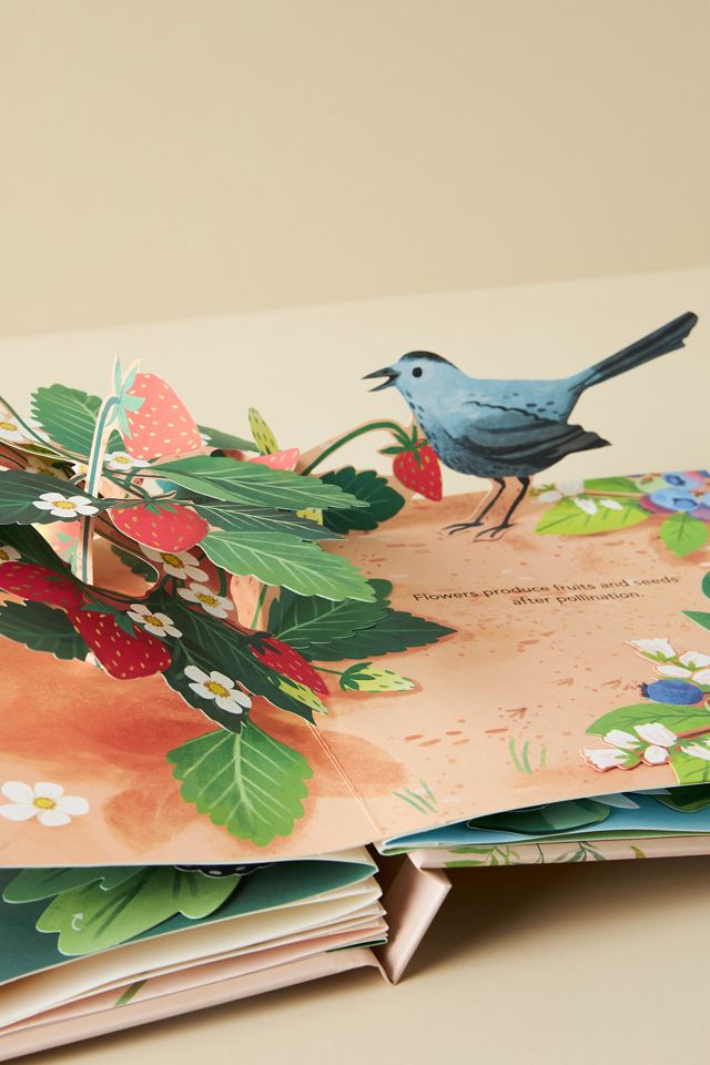 Flora: A Botanical Pop-Up Book #1