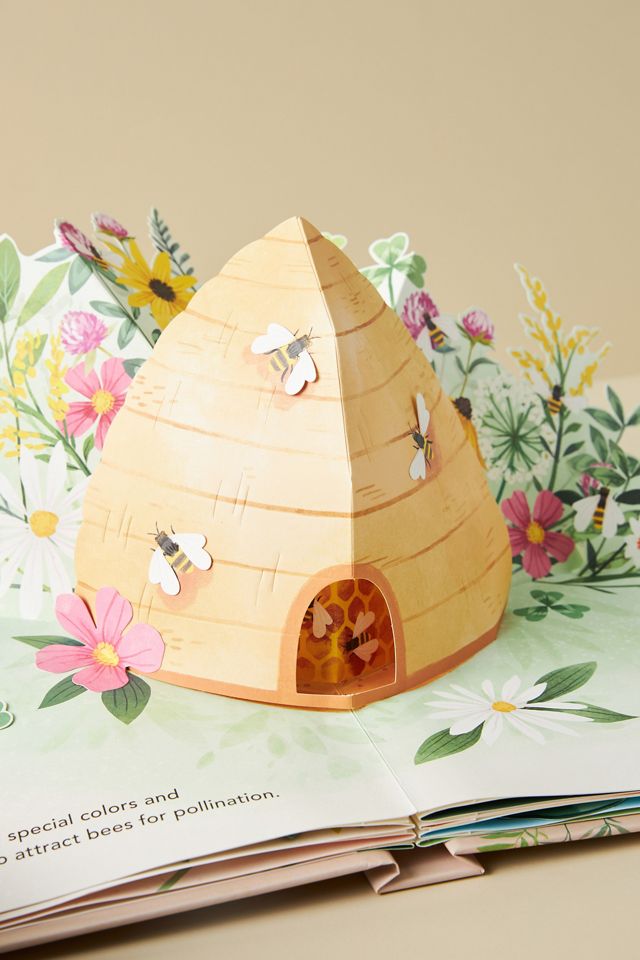 Flora: A Botanical Pop-Up Book #2