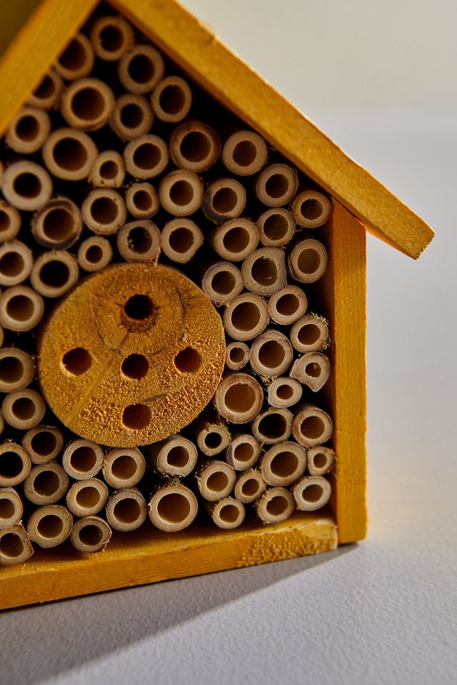 Bee Hotel #1
