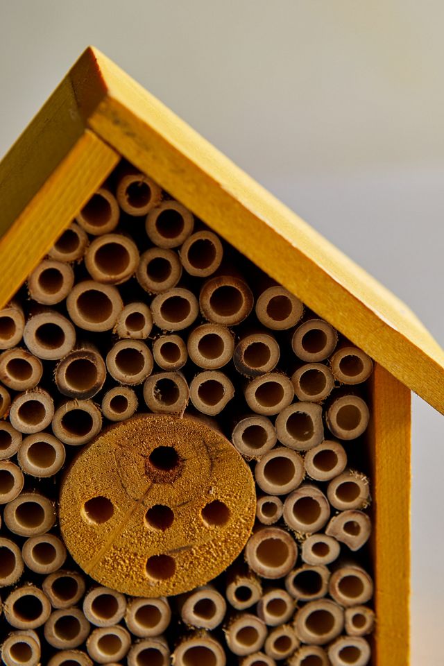 Bee Hotel #2